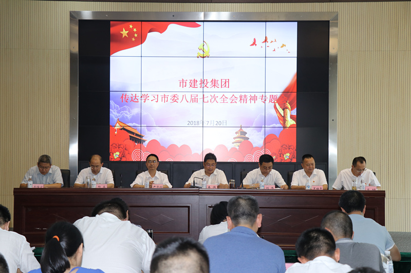 集团公司传达学习市委八届七次全体会议精神