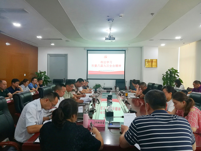 集团公司传达学习市委八届九次全会精神